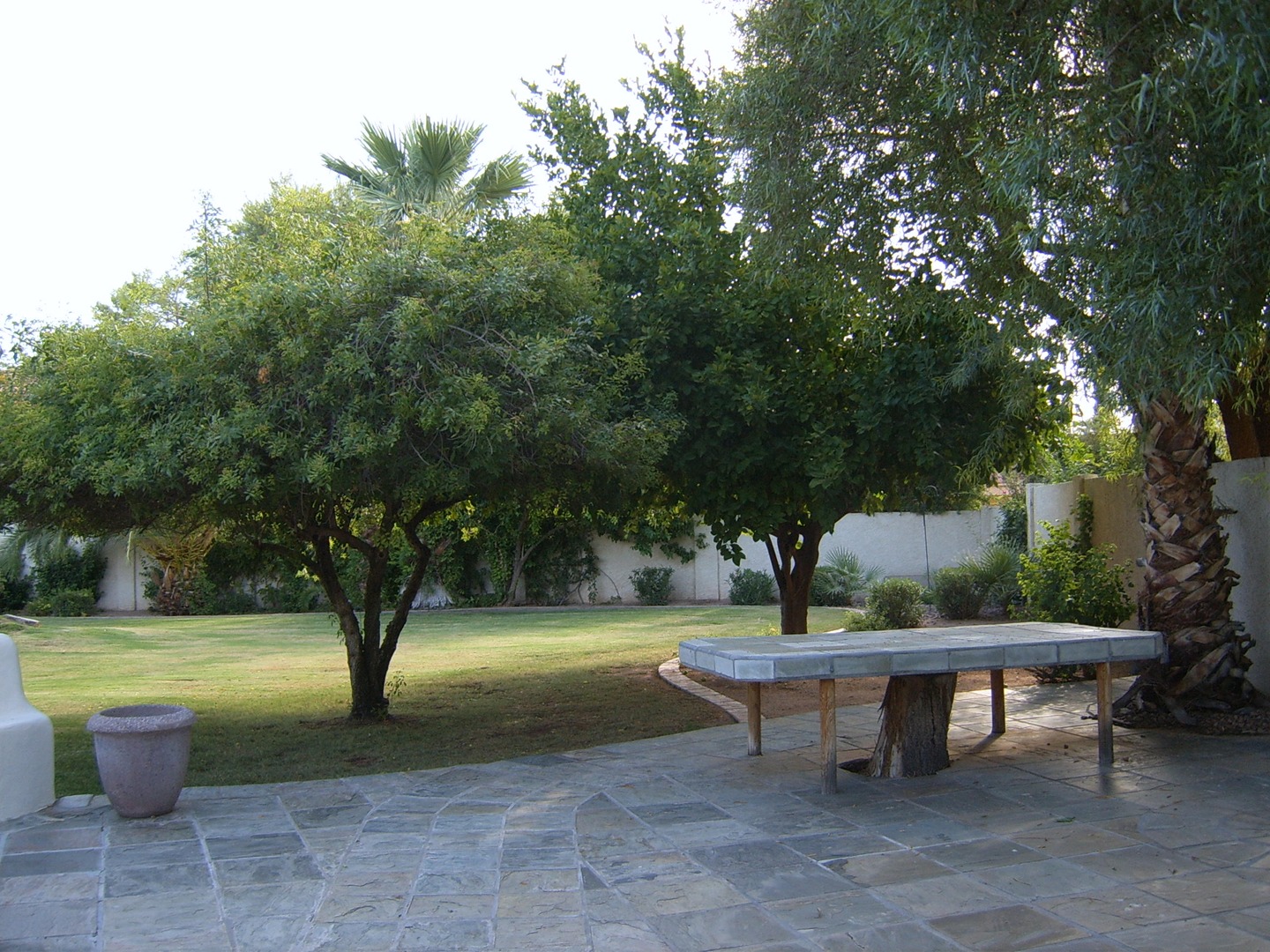 Desert View Backyard